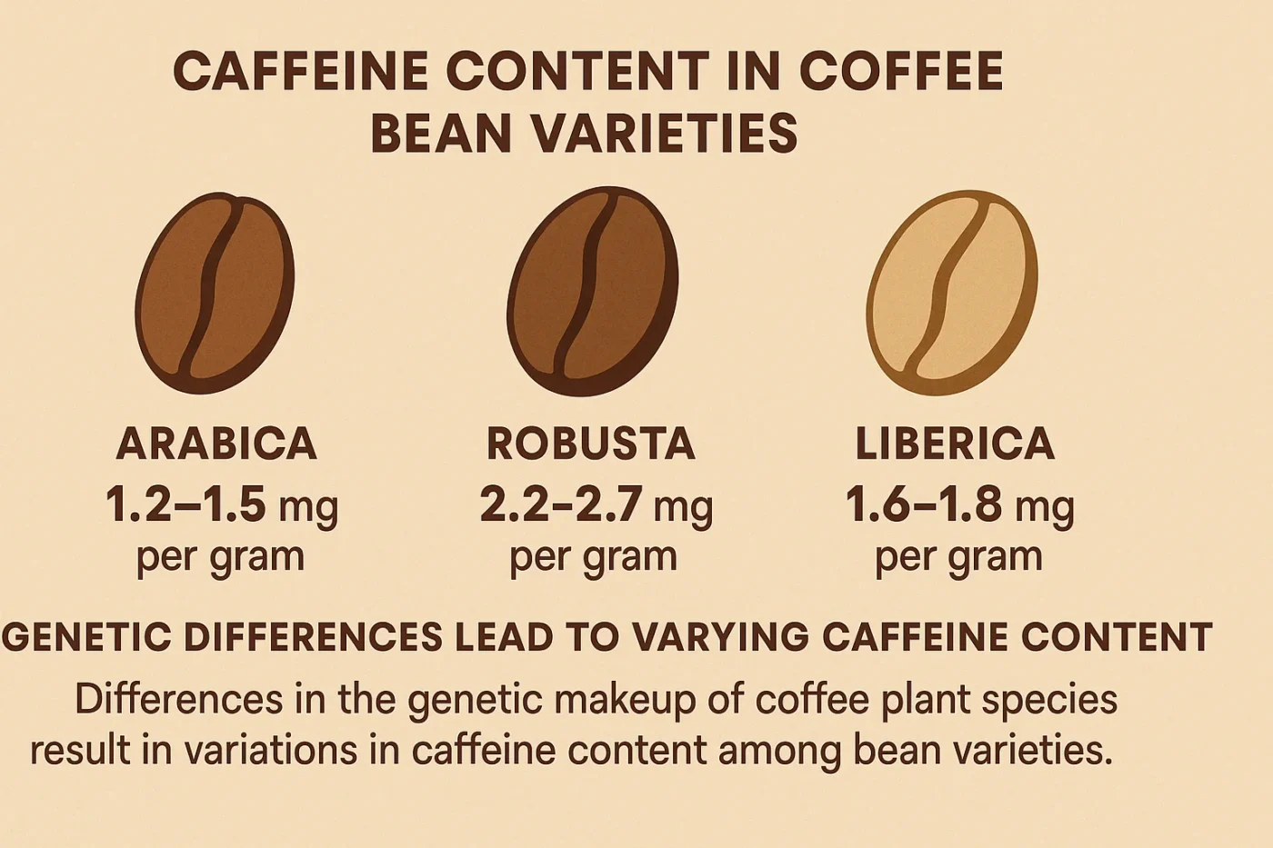 Infographic comparing caffeine content in Arabica, Robusta, and Liberica coffee beans, showing the genetic differences and caffeine levels.