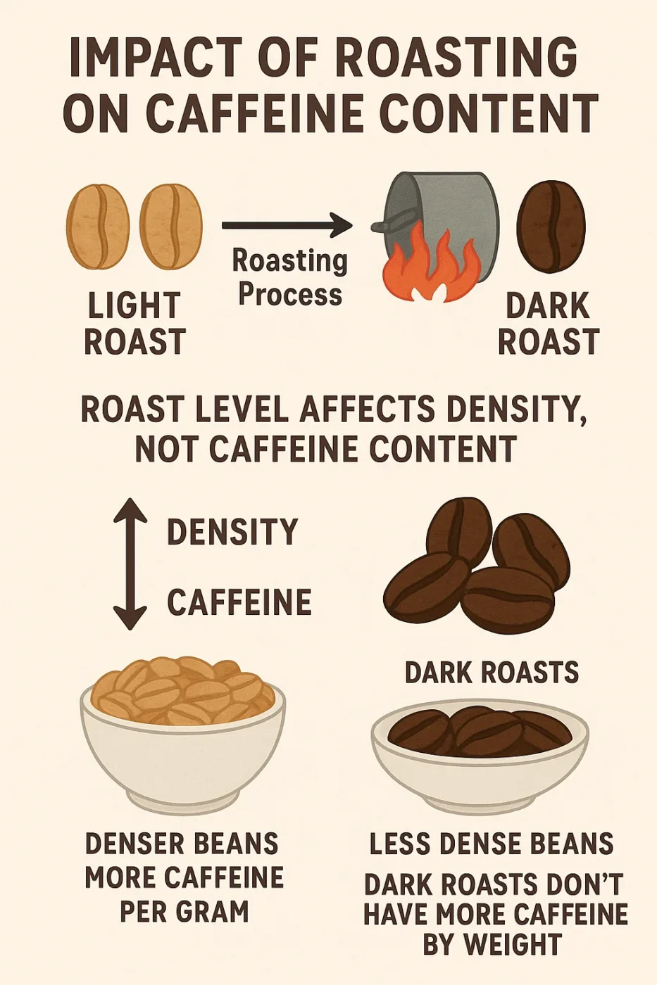 Infographic showing how coffee roasting affects caffeine content, with light roasts being denser and containing more caffeine than dark roasts.