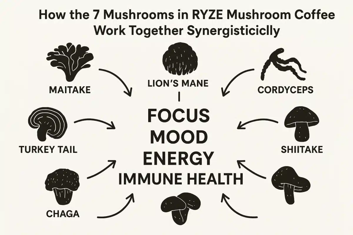 Diagram illustrating the synergistic effects of Ryze Mushroom Coffee ingredients for improved health and energy.
